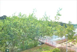 Blk 422 Pasir Ris Drive 6 (Pasir Ris), HDB Executive #205633771